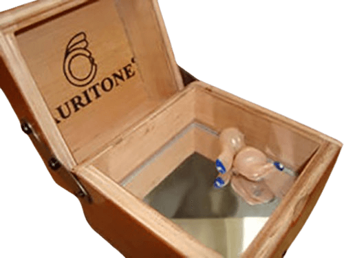 Horno secador de audífonos