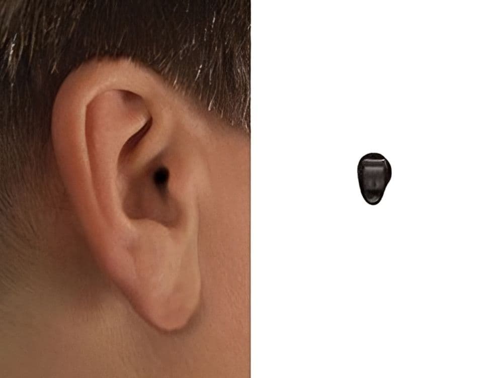 Imagen de la categoría